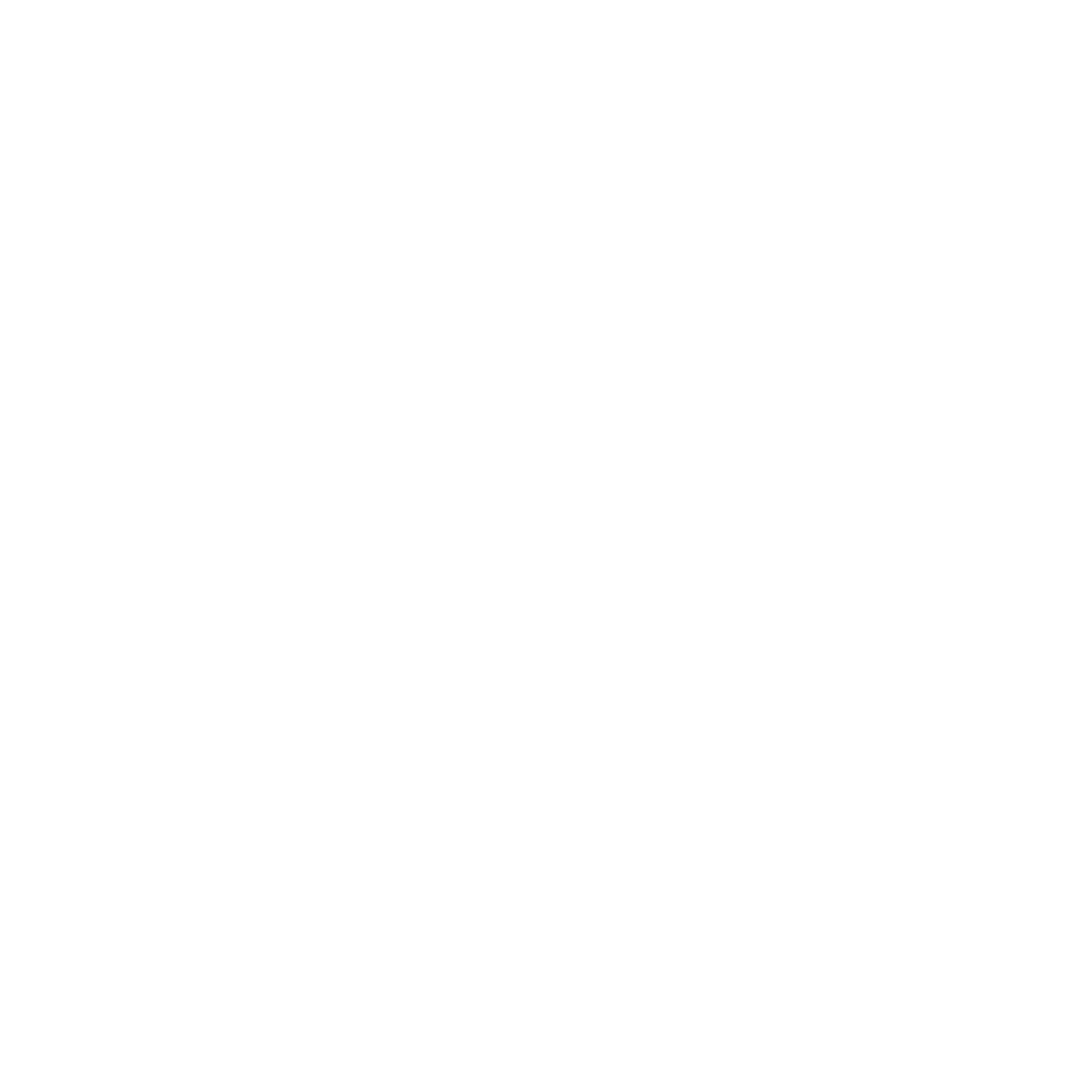 bravidea icon high with